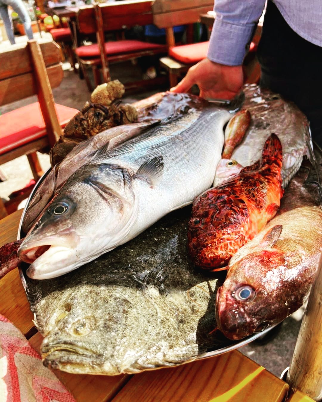 Svježa riba u restoranu Langust u Pržnu (Budva)