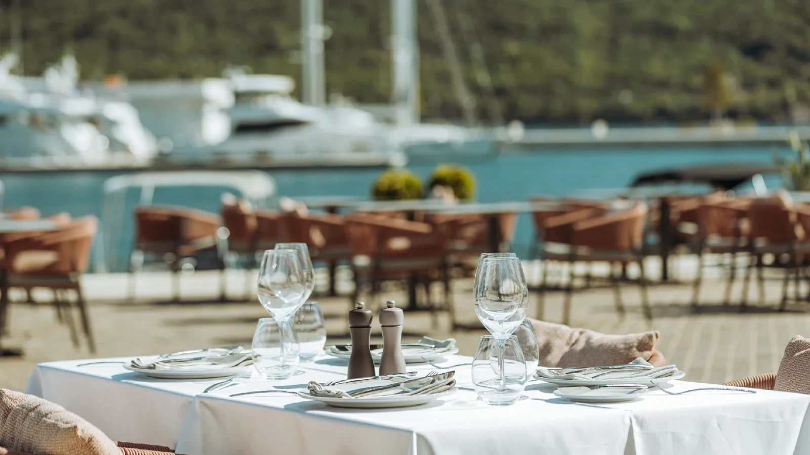 Square – Porto Novi cover photo